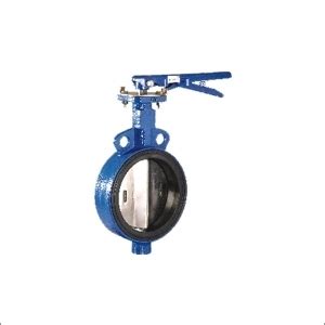 Blue Ci Butterfly Valve At Best Price In Kolkata Krishna Enterprise