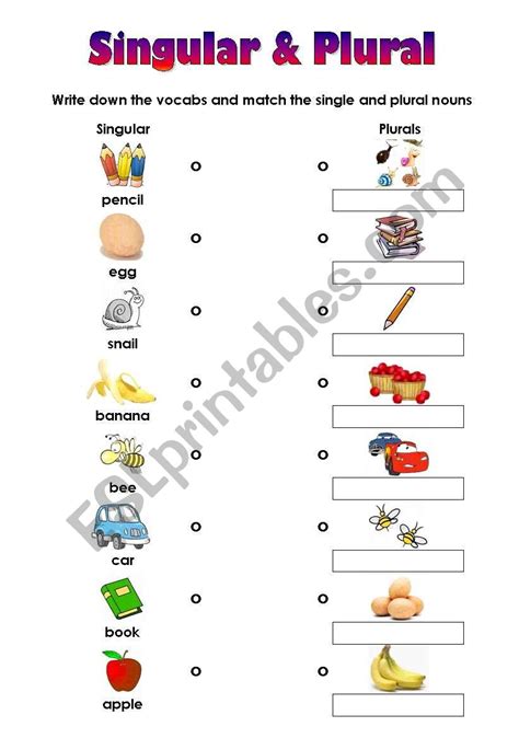 Matching Worksheet For Singular And Plural Very Easy Esl Worksheet