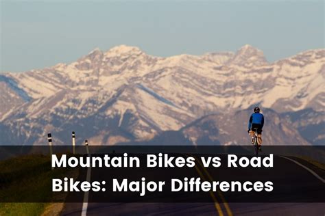 Mountain Bike Vs Road Bike What S The Difference 2024