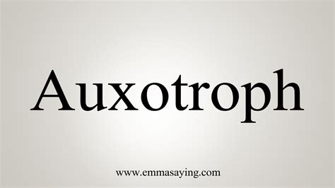 How To Say Auxotroph - YouTube