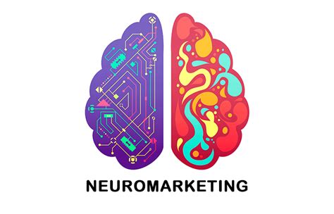 Qu Es Neuromarketing El Cerebro Como Protagonista Witea