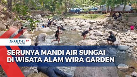 Serunya Mandi Air Sungai Di Wisata Alam Wira Garden Kompas Tv Vidio