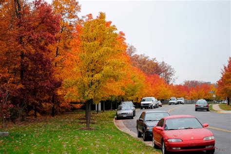 Blue Ridge Mountain Home: Fall Foliage