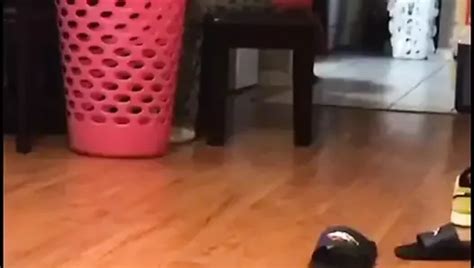 Free Deep Porn Videos 193 XHamster