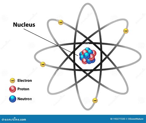 Atomic Nucleus Structures Diagram Labeled Cartoon Vector ...