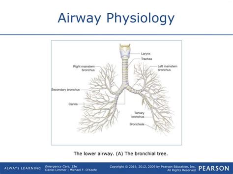 Airway Management Ppt