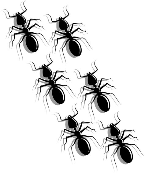 Red Ant Clipart Transparent Background Cartoon Style Red Ant Clip