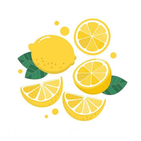 Lemon Vector Lemon Drawing Lemon Art Fruit Illustration