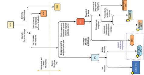 Classification Of Bioelectrochemical Systems Bess Based On