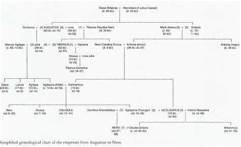 The Romans - the Julio-Claudian family tree