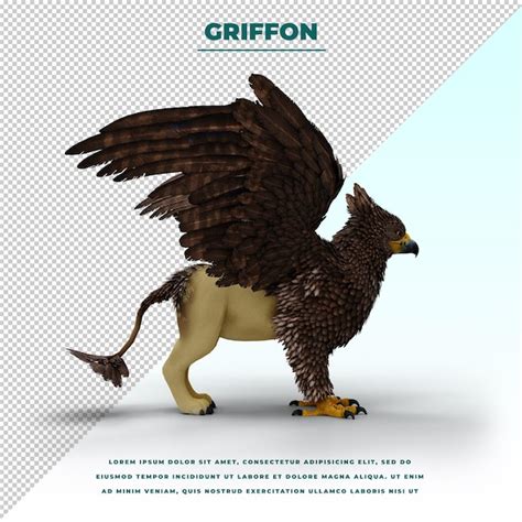 Griffin Ou Griffon Une Créature Légendaire Avec Le Corps D un Lion La