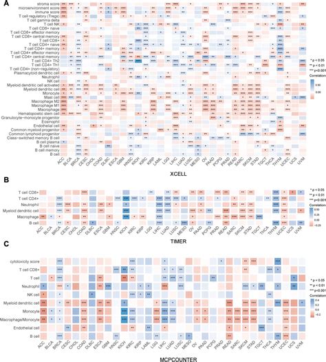 Frontiers Pan Cancer Analysis Of Super Enhancer Induced Prr7 As1 As A