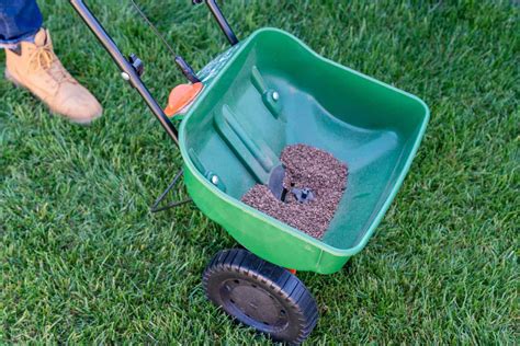 Understanding Basic Lawn Care Tools Atelier Yuwa Ciao Jp