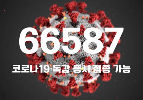 코로나19 신규 확진자 6만6587명위중증 환자 411명·사망자 47명 중앙신문