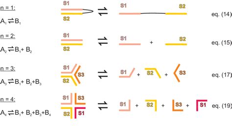 Intra And Intermolecular Equilibria Exemplified By A Schematic