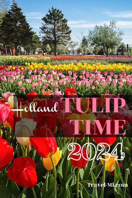 Tulip Festival Holland Mi 2024 Schedule Of Events Helsa Krystle