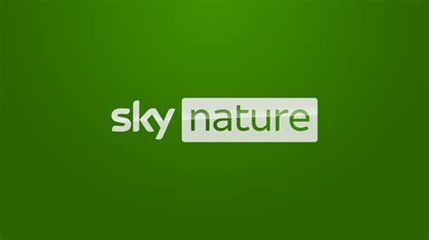 Sky Nature Anglosaw Logofanonpedia Fandom