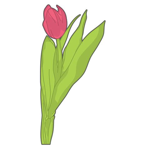 Free Aesthetic Cute Red Tulip Flowers Bullet Journal Png With