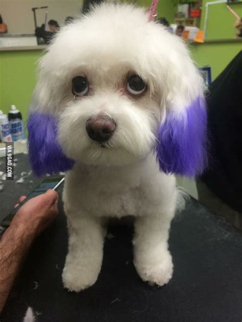 Live With A Gay Guy They Said It Ll Be Fun They Said GAG