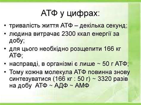 Поняття про перетворення енергії. АТФ (урок 11 - 9) - презентация онлайн