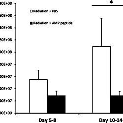 Effect Of Peptide And Radiation Treatment Of HNC Tumors In The Anterior Tongue Of Nude Mice