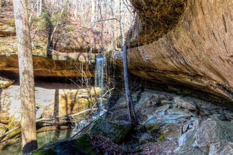 Elementary Ecosystem Investigation Alabamas Ecoregions Awf