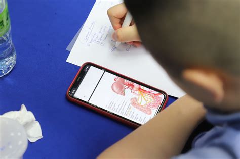 CU-MEDi - CU-MEDi is 4 FUN