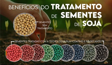 Benefícios do tratamento de sementes de soja Portal do Agronegócio