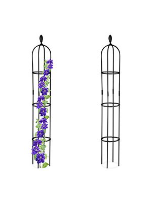 Relaxdays Plantensteun Klimplanten Set Van 2 Cm 160 Cm Hoog Staal