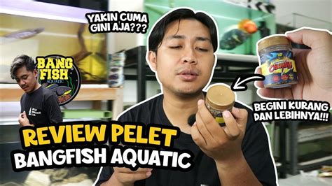 Kurang Lebihnya Pelet Bangfish Aquatic Ini Youtube