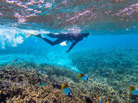 Diversity Equity And Inclusion Ucsb Marine Science Institute