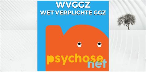 Wat Is De Wet Verplichte Geestelijke Gezondheidszorg Wvggz