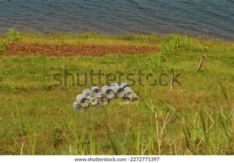 Photo Reservoir Freshwater Fish Farming Pond Stock Photo 2272771397 ...