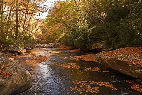 WV MetroNews Fall foliage reaching peak in more areas of Mountain State ...