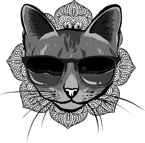 Monochromatic Cat In Sunglasses On White Background Stock Vector Illustration Of Fashion