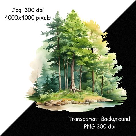 Watercolor Forest Tree Clipart Pine Tree Png And Woodland Etsy