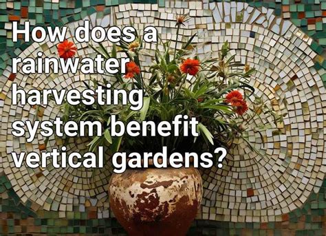 How Does A Rainwater Harvesting System Benefit Vertical Gardens