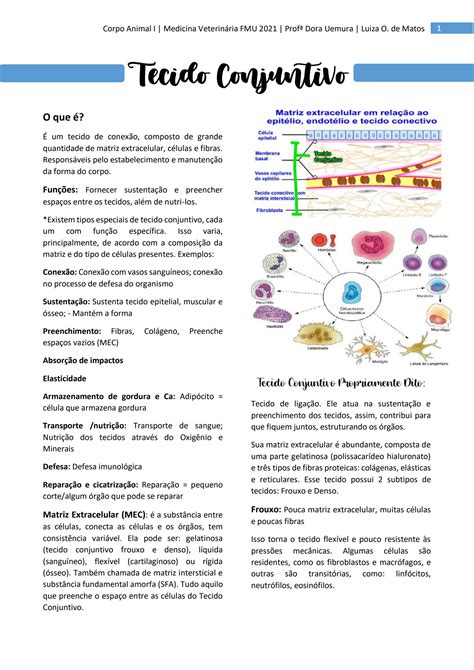 Solution Tecido Conjuntivo Studypool