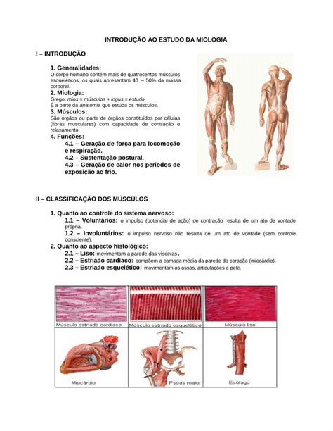 Pdf Introdu O Ao Estudo Da Miologia I Pdf File Origem E