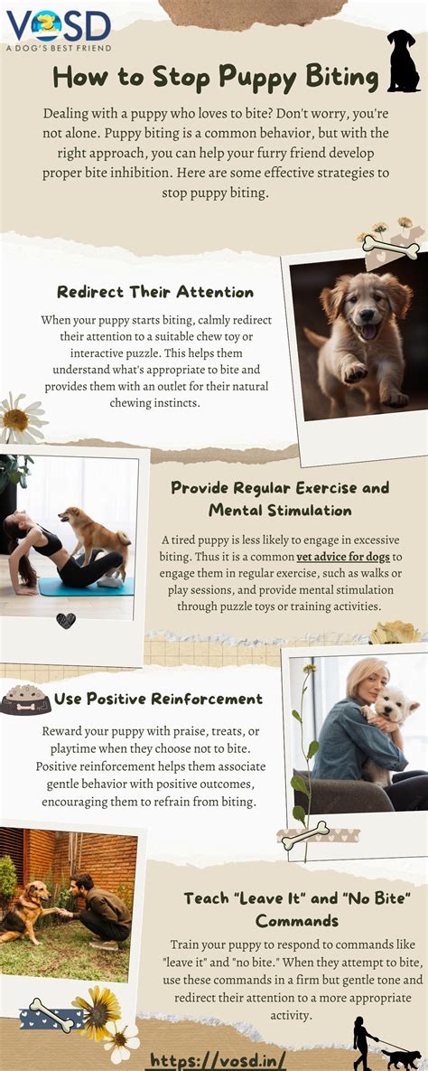 How To Stop Puppy Biting Kikopup at Buddy Franzen blog