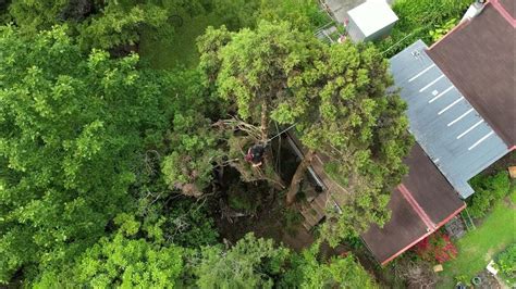 Spectacular Drone Footage Of Arborist Work By Urban Tree Services Youtube