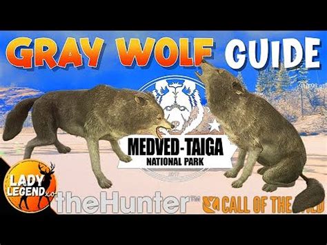 Gray Wolf Hotspot Guide For Medved Taiga Call Of The Wild Youtube