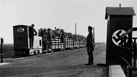 Liberación De Auschwitz Cómo Este Campo De Concentración Se Convirtió