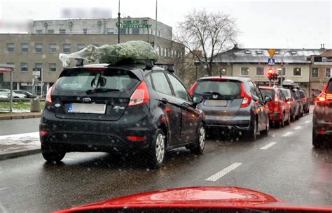 Jak Przewie Choink I Unikn Mandatu Policja Podaje Zasad