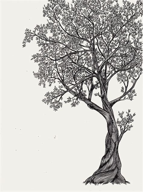 Tree Of Life By Arganthone Tree Of Life Art Tree Of Life Tattoo Tree