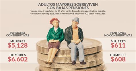 47 Millones De Adultos Mayores En México Sobrevive Su Vejez Con Una