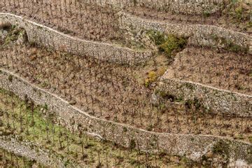 Hermitage Nos Classiques Nos Vins Louis Bernard Vall E Du Rh Ne