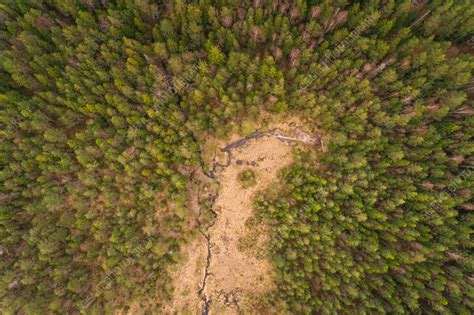 Aerial view of forest surrounding lake, Estonia - Stock Image - F039 ...