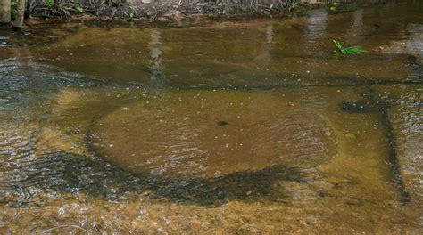 The Mystery Religion Sculpture Under The Water In Kbal Spean The