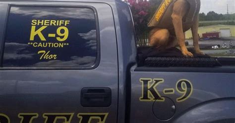 Sheriffs Office K9 Receives Body Armor Donation Local